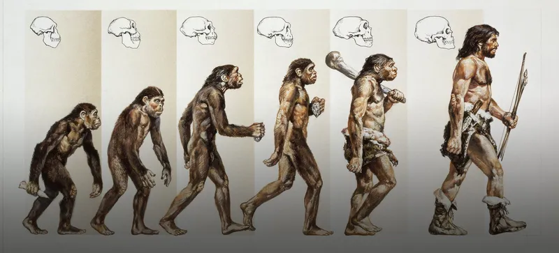 La evolución de Troy Jones: un viaje a través del tiempo y el cambio