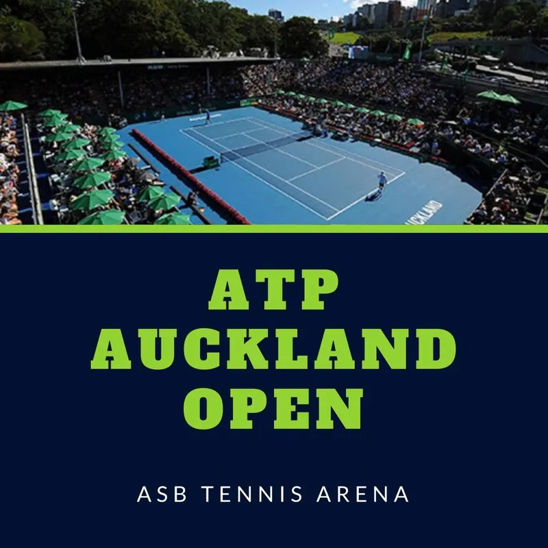 ATP Auckland: Borges asegura su lugar en los cuartos de final