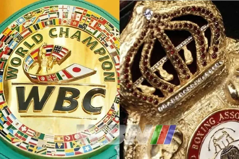 World Boxing lanza confederación asiática para unir a los actores del boxeo