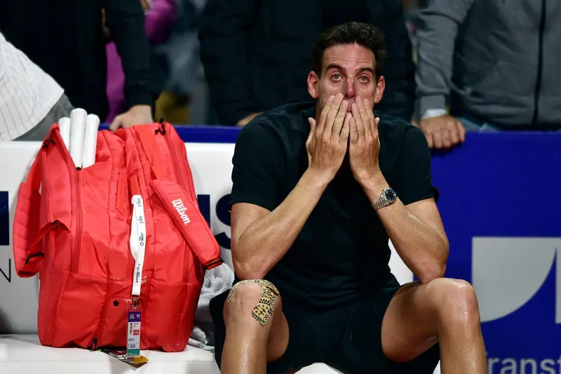 Juan Martín del Potro envía un emotivo mensaje a Novak Djokovic tras su 'loca idea'