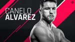 ¿Qué Sigue para Canelo Álvarez? - Noticias de Boxeo 24